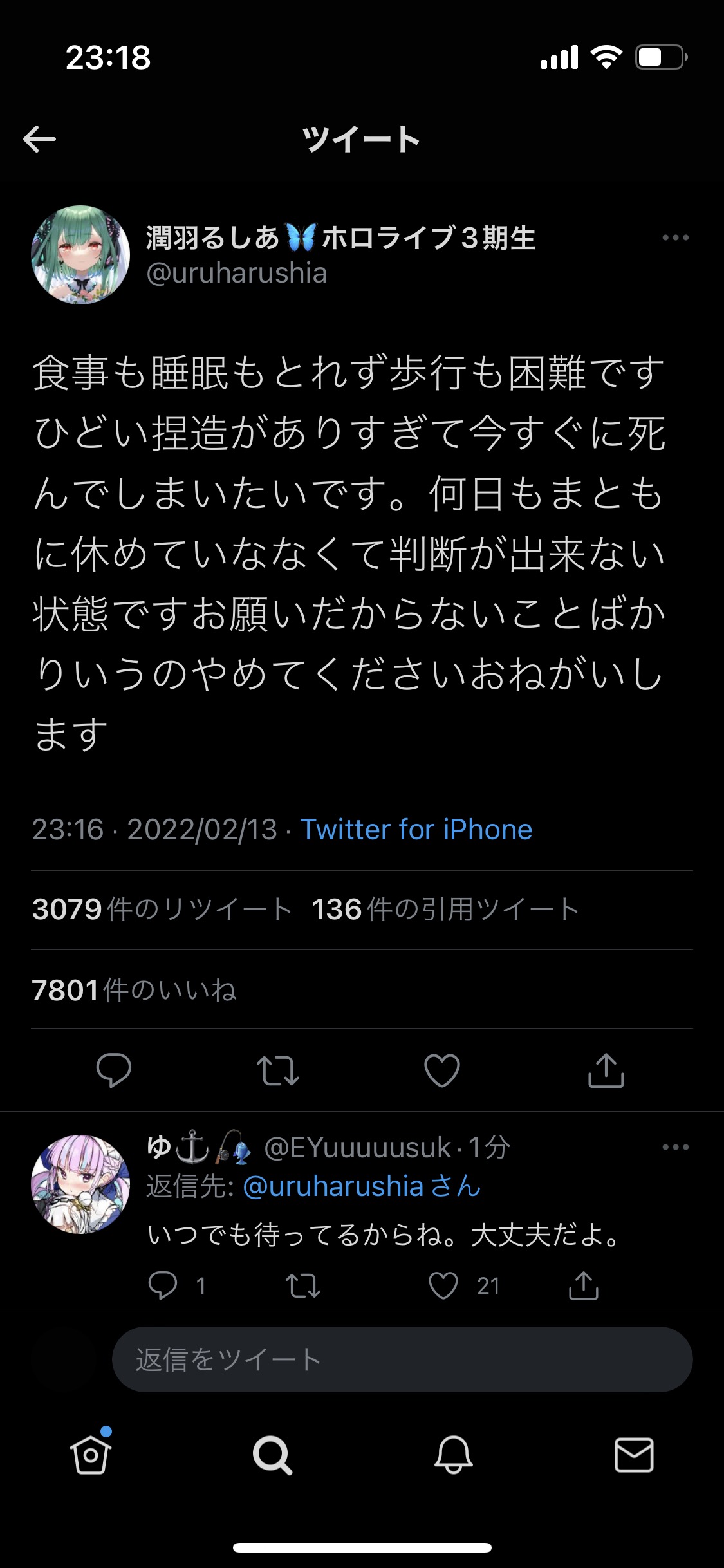 速報 るしあさん 中絶デマのせいで食事も睡眠も歩行もできず重症っぽい 大丈夫か ばびろにあっ